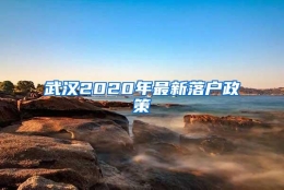 武汉2020年最新落户政策