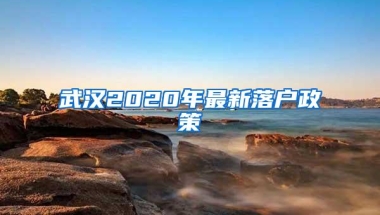 武汉2020年最新落户政策