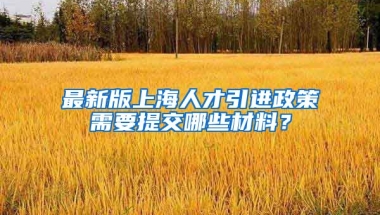 最新版上海人才引进政策需要提交哪些材料？