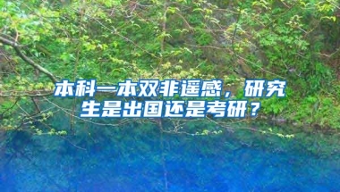 本科一本双非遥感，研究生是出国还是考研？