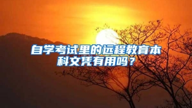 自学考试里的远程教育本科文凭有用吗？