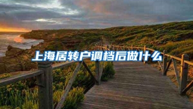 上海居转户调档后做什么