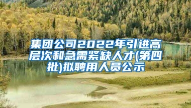 集团公司2022年引进高层次和急需紧缺人才(第四批)拟聘用人员公示