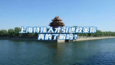 上海特殊人才引进政策你真的了解吗？