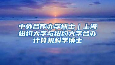 中外合作办学博士｜上海纽约大学与纽约大学合办计算机科学博士