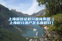 上海居住证积分查询系统（上海积分落户怎么查积分）