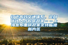 打造高效交通体系，定向优化人才购房政策……上海发布重磅政策支持临港新片区