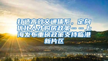 打造高效交通体系，定向优化人才购房政策……上海发布重磅政策支持临港新片区