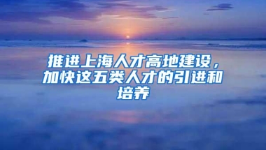 推进上海人才高地建设，加快这五类人才的引进和培养