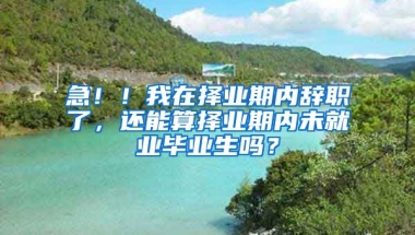 急！！我在择业期内辞职了，还能算择业期内未就业毕业生吗？