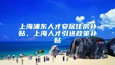 上海浦东人才安居住房补贴，上海人才引进政策补贴