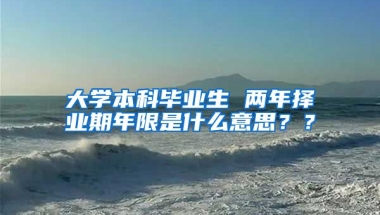 大学本科毕业生 两年择业期年限是什么意思？？