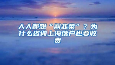 人人都想“割韭菜”？为什么咨询上海落户也要收费