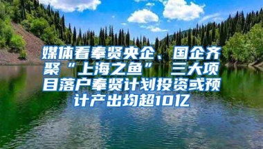 媒体看奉贤央企、国企齐聚“上海之鱼” 三大项目落户奉贤计划投资或预计产出均超10亿