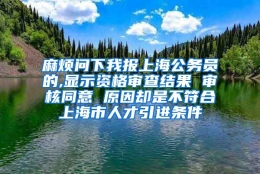 麻烦问下我报上海公务员的,显示资格审查结果 审核同意 原因却是不符合上海市人才引进条件