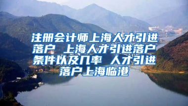 注册会计师上海人才引进落户 上海人才引进落户条件以及几率 人才引进落户上海临港