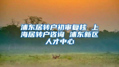 浦东居转户初审复核 上海居转户咨询 浦东新区人才中心