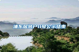 浦东居转户11号公示结束