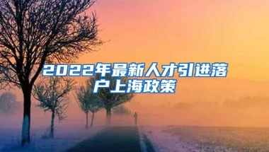 2022年最新人才引进落户上海政策