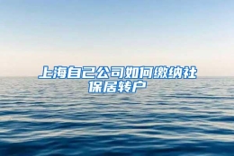 上海自己公司如何缴纳社保居转户