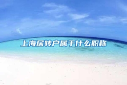 上海居转户属于什么职称