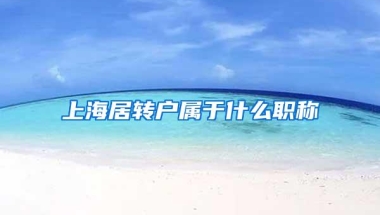 上海居转户属于什么职称