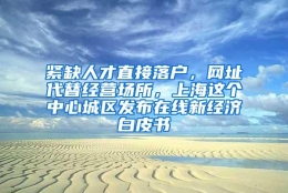 紧缺人才直接落户，网址代替经营场所，上海这个中心城区发布在线新经济白皮书