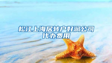 松江上海居转户好润公司代办费用