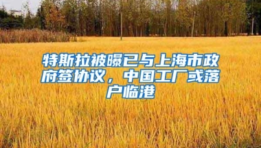 特斯拉被曝已与上海市政府签协议，中国工厂或落户临港