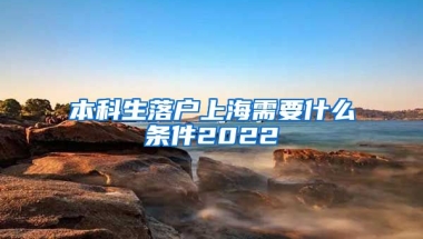 本科生落户上海需要什么条件2022