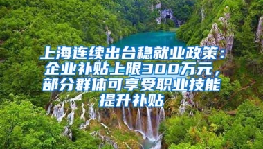 上海连续出台稳就业政策：企业补贴上限300万元，部分群体可享受职业技能提升补贴