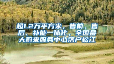 超1.2万平方米，售前、售后、补能一体化，全国最大蔚来服务中心落户松江