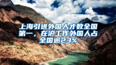 上海引进外国人才数全国第一，在沪工作外国人占全国逾23%