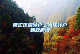 南汇区居转户上海居转户新政解读