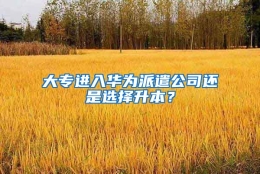 大专进入华为派遣公司还是选择升本？