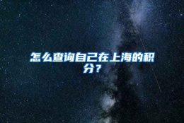 怎么查询自己在上海的积分？