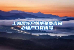 上海居转户黄牛免费咨询办理户口有用吗