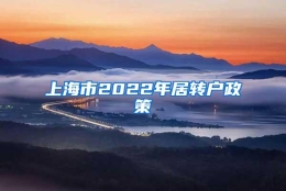 上海市2022年居转户政策