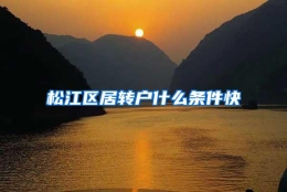 松江区居转户什么条件快