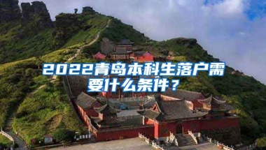 2022青岛本科生落户需要什么条件？