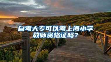 自考大专可以考上海小学教师资格证吗？