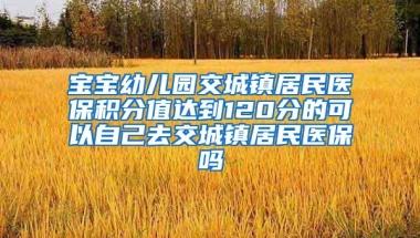 宝宝幼儿园交城镇居民医保积分值达到120分的可以自己去交城镇居民医保吗