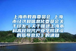 上海市教育委员会 上海市经济和信息化委员会关于印发《关于推进上海本科高校现代产业学院建设的指导意见》的通知