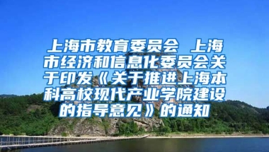 上海市教育委员会 上海市经济和信息化委员会关于印发《关于推进上海本科高校现代产业学院建设的指导意见》的通知