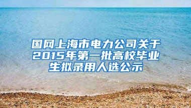 国网上海市电力公司关于2015年第一批高校毕业生拟录用人选公示