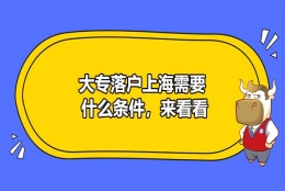 大专落户上海需要什么条件，来看看