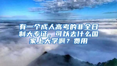 有一个成人高考的非全日制大专证，可以去什么国家上大学啊？费用