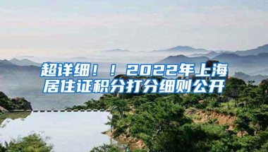 超详细！！2022年上海居住证积分打分细则公开