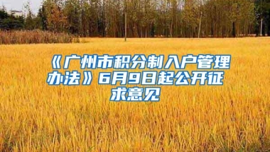 《广州市积分制入户管理办法》6月9日起公开征求意见