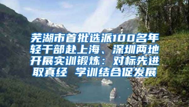 芜湖市首批选派100名年轻干部赴上海、深圳两地开展实训锻炼：对标先进取真经 学训结合促发展